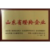 山東瞪羚企業